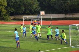 东尼足球爆料最新消息视频,最新视频揭秘足坛热点动态